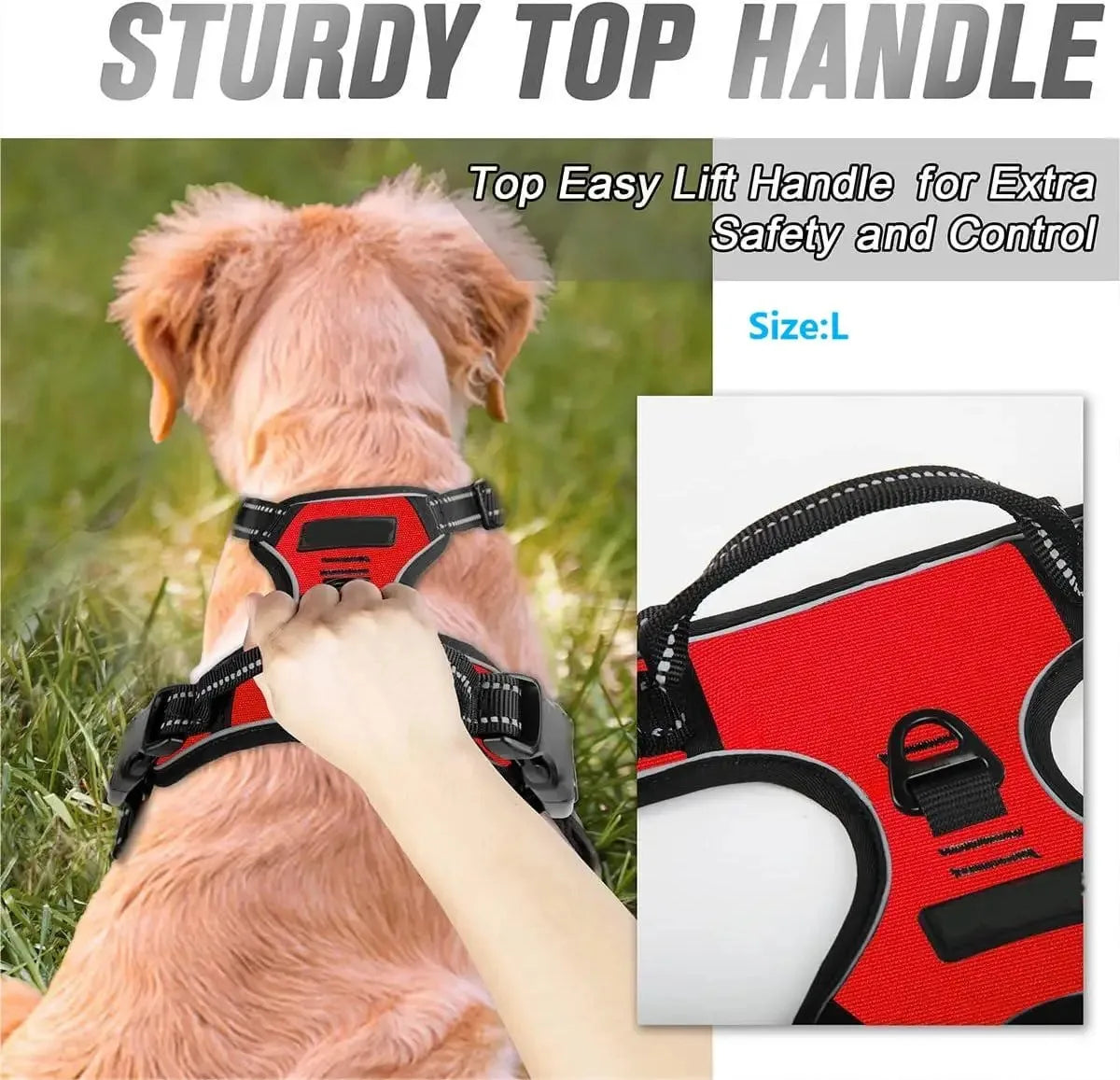 Leather Dog Collar & Harness Set with Leash – Adjustable Vest for Small & Medium Dogs